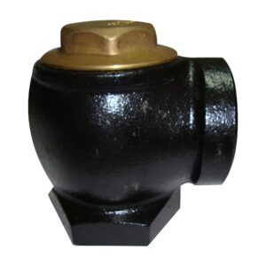 Angle Check Valve AILE